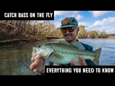 Fly Fishing For Bass Everything You Need to Know!