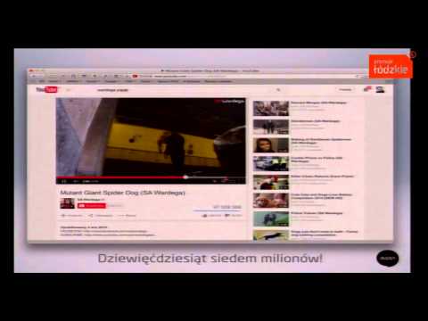 Paweł Tkaczyk - Dobra strategia promocji regionu to połączenie kreatywności i… szablonu