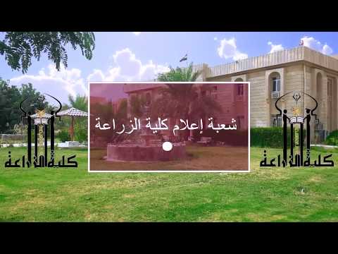 التقرير المرئي الأول