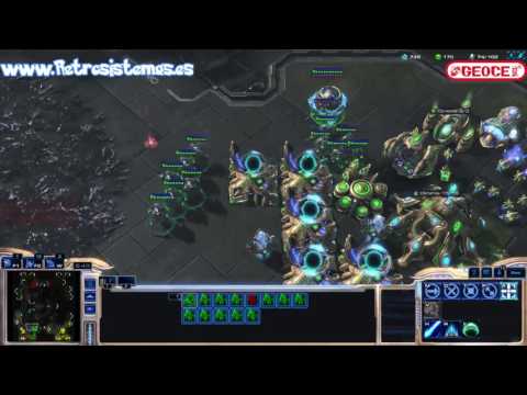4v4 Starcraft pro Masters