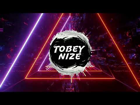 AYLIVA X APACHE207 - WUNDER (TOBEY NIZE x ANASTASIA ROSE REMIX)
