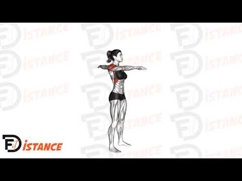 Exercice Cercles alternés des bras (échauffement)