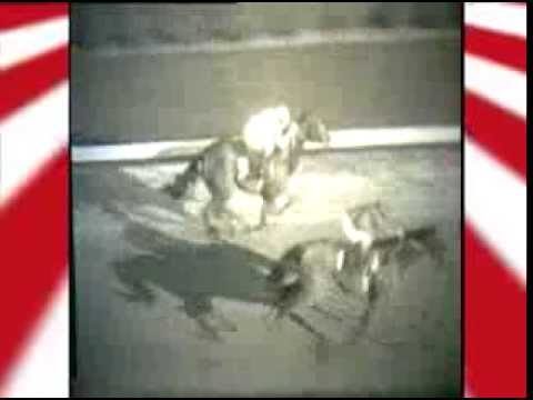 Saratoga 150 Feature: Dr. Fager