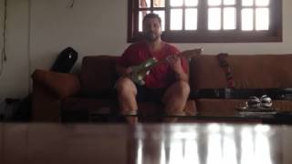 Dois Elefantes / Paralamas do Sucesso