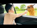 African Safari Wildlife Park