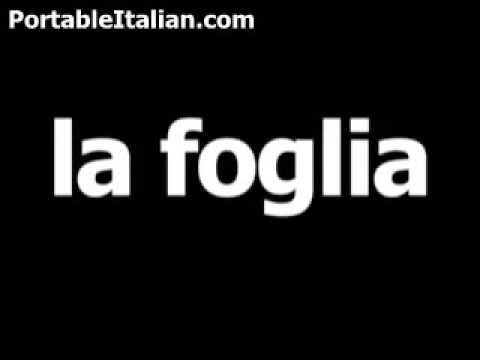 Italian word for leaf is la foglia