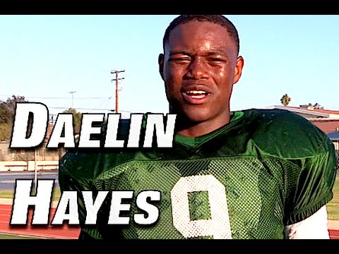 Daelin-Hayes