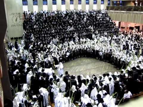 bchatzar bobov, C"k admor m'bobov (48), shlitah, nanuim, hoshana rabah tishrei 5773 (4)