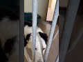 Barney 22 0422 Video 002