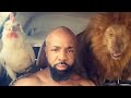 LION PIZZA CHICKEN