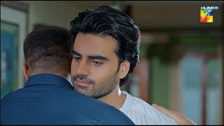 Bhaion Mein Mohabbat Bharnay Lagi Hai - HUM TV