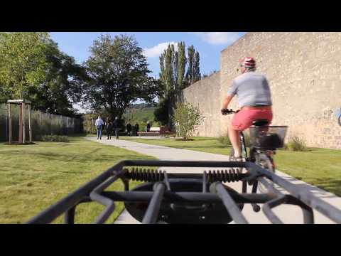 "Grüne Achse" in der Würzburger Zellerau fertiggestellt