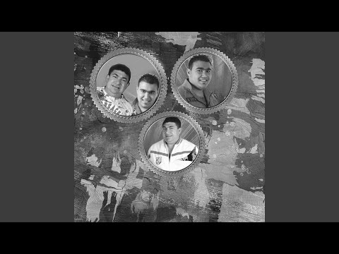 Am Sa-Ti Fac Un Brad Frumos