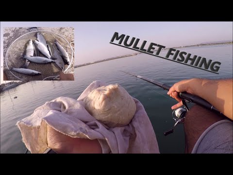 Pescata in PORTO con PASTELLA SEMPLICISSIMA ma MICIDIALE - PESCA al cefalo con la BOLOGNESE in mare