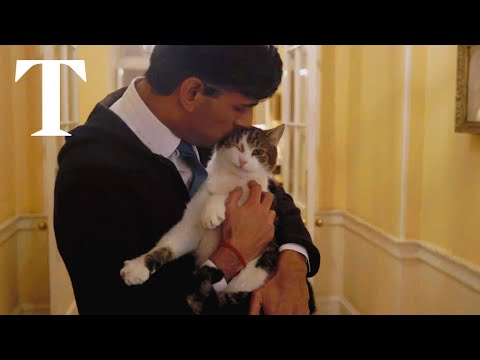 Rishi Sunak ‘home alone’ at No 10 in playful Christmas video