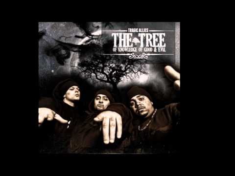 Tragic Allies- Picture Perfect