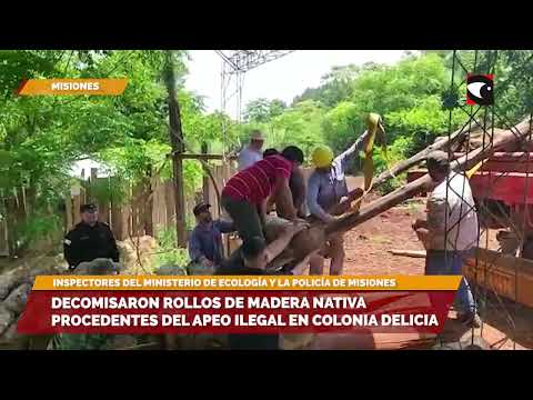 Decomisaron rollos de madera nativa procedentes del apeo ilegal en Colonia Delicia