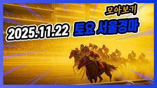 2025년 11월 22일 토요 서울경마 전체경주 모아보기