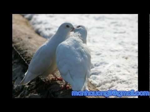 Mãi yêu em - Lý Hải