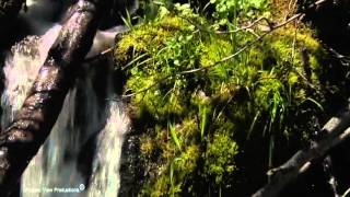 Sparkles Of Lake Tahoe - music "High Mountain Medicine" by Mesa Music Consort