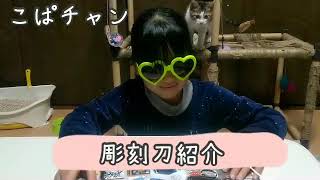 【紹介】小４彫刻刀可愛すぎ💕