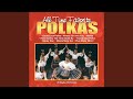 How Swiftly The Time Goes By/ My Girl Told Me/ Matka (Waltzes)