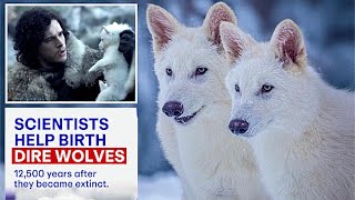 Scientists Create REAL Dire Wolves After 13,000 Years Of Extinction - World's 1st De-Extinction