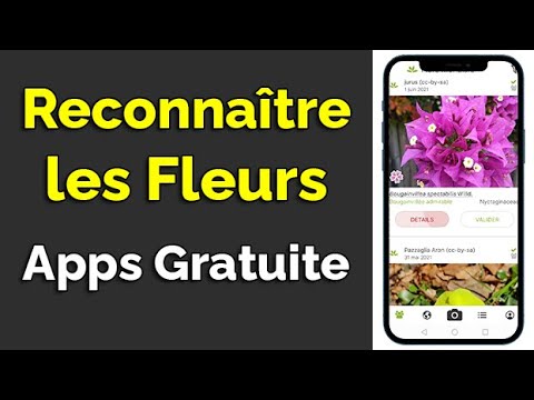 Application gratuite pour reconnaître les fleurs et plantes, identification fleurs
