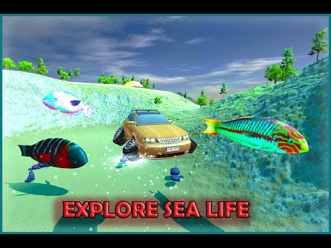 Underwater Surfer Sports Car Video