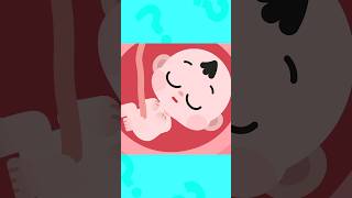 Download lagu Apa itu tombol perut?👶🤰 #shorts #laguanak #Cocobi mp3