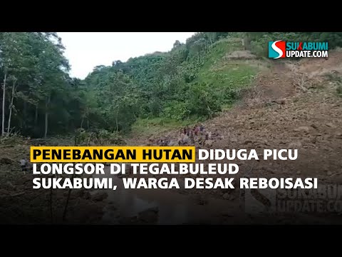 Penebangan Hutan Diduga Picu Longsor di Tegalbuleud Sukabumi, Warga Desak Reboisasi