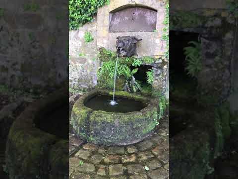 Devil Dogs - The Mastif Head Fountain in Belleau, France?