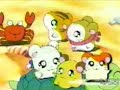 Hamtaro Credits