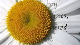 The Maine- Daisy Lyrics