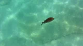 Jon Hopkins - A Drifting Up