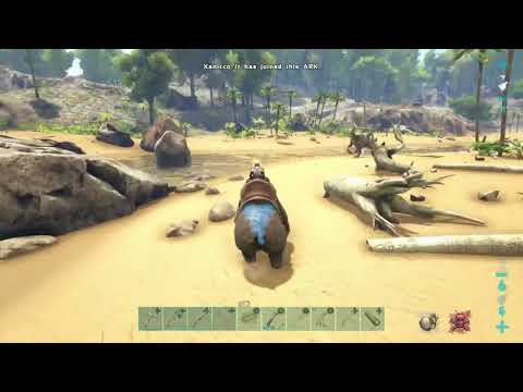 Xbox One Ark: Server 242 Dire Bears PVP