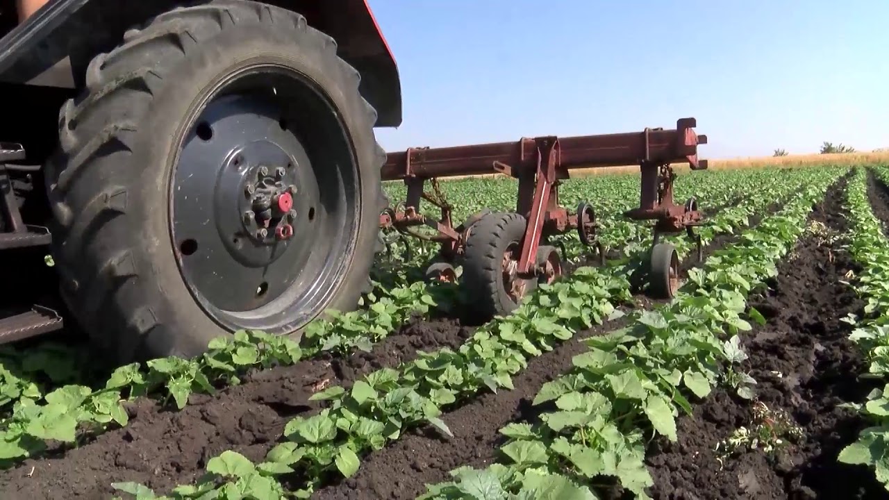 В Хасково изготвят безплатни бизнес планове за малки стопанства
