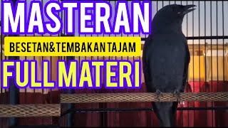 Download lagu MASTERAN BURUNG SRIGUNTING HITAM GACOR FULL ISIAN DAN TEMBAKAN KASAR‼️100% AMPUH UNTUK PANCINGAN mp3