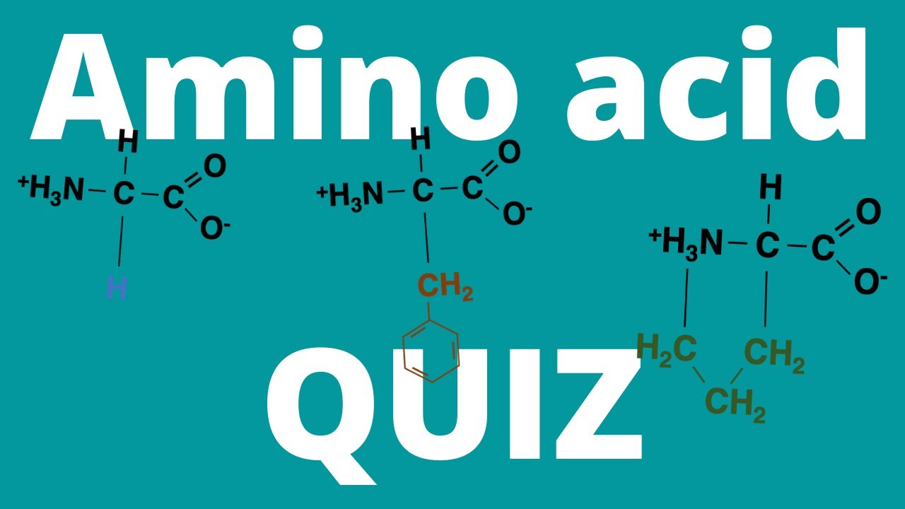 Amino acid QUIZ (How many amino acids can you memorize?)