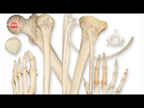 Super Foods for Strong Bones Just eat 1 tsp daily get sharp mind, strong bones & diseases will stay