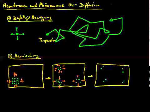 Membranen und Phänomene 04 - Diffusion