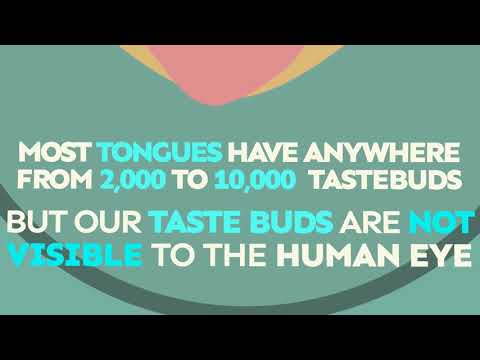 DidYouKnow Ep 009 Tongues FINAL