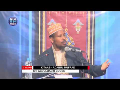 Adabul Mufrad || D 31 aad || Sh Abdulqadir Boobe