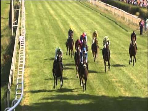 Galopprennbahn Dresden - 02.08.2014 - 4.Rennen