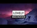 Billie Eilish Lovely With Khalid Lyrics