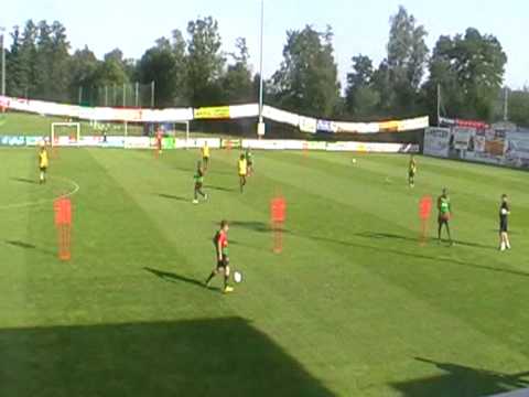 Arsenal - Bad Waltersdorf 2010 (2)