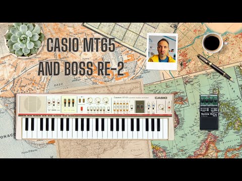Casio Casiotone MT65 and Boss Space Echo Boss RE-2 and Roland Aira S1