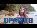 NM Linges Opacito