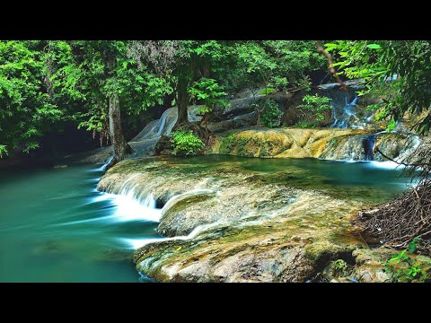 8 Hours of The Best Relaxing Piano - Beautiful Music, Birds Singing, Water Sounds -Sleep, Meditation