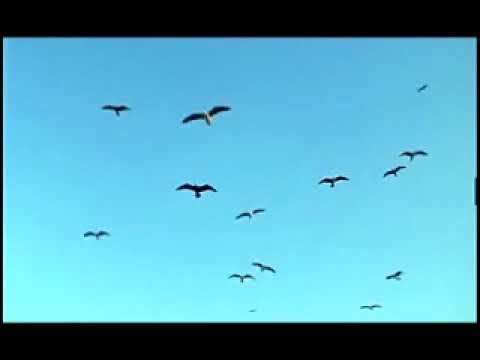 A Brokedown Melody trailer frame: slow-motion spray off the lip during golden hour